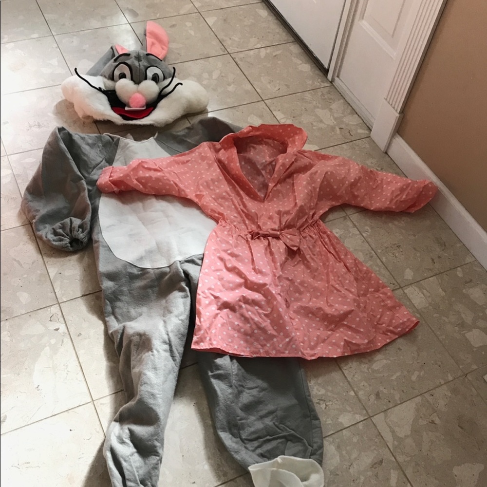 Babs adult Halloween costume